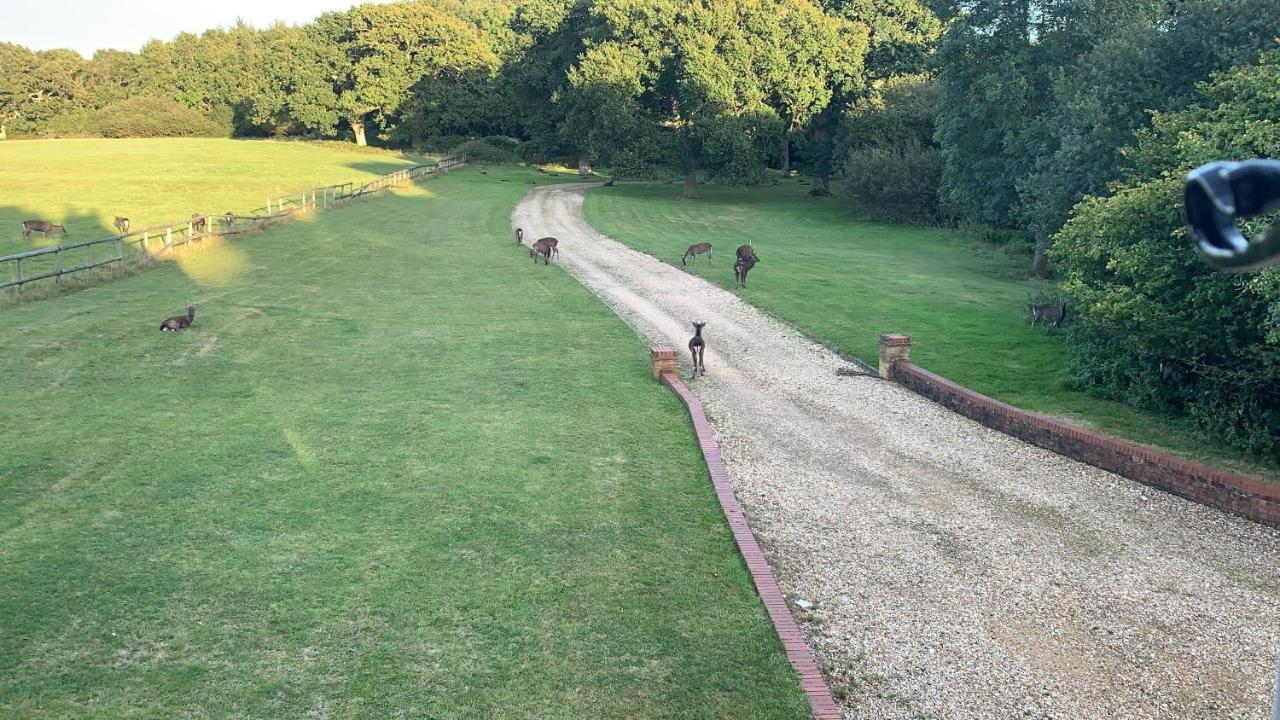 Вилла Yards Brake On 40 Acres Of Private Land Langton Matravers Экстерьер фото
