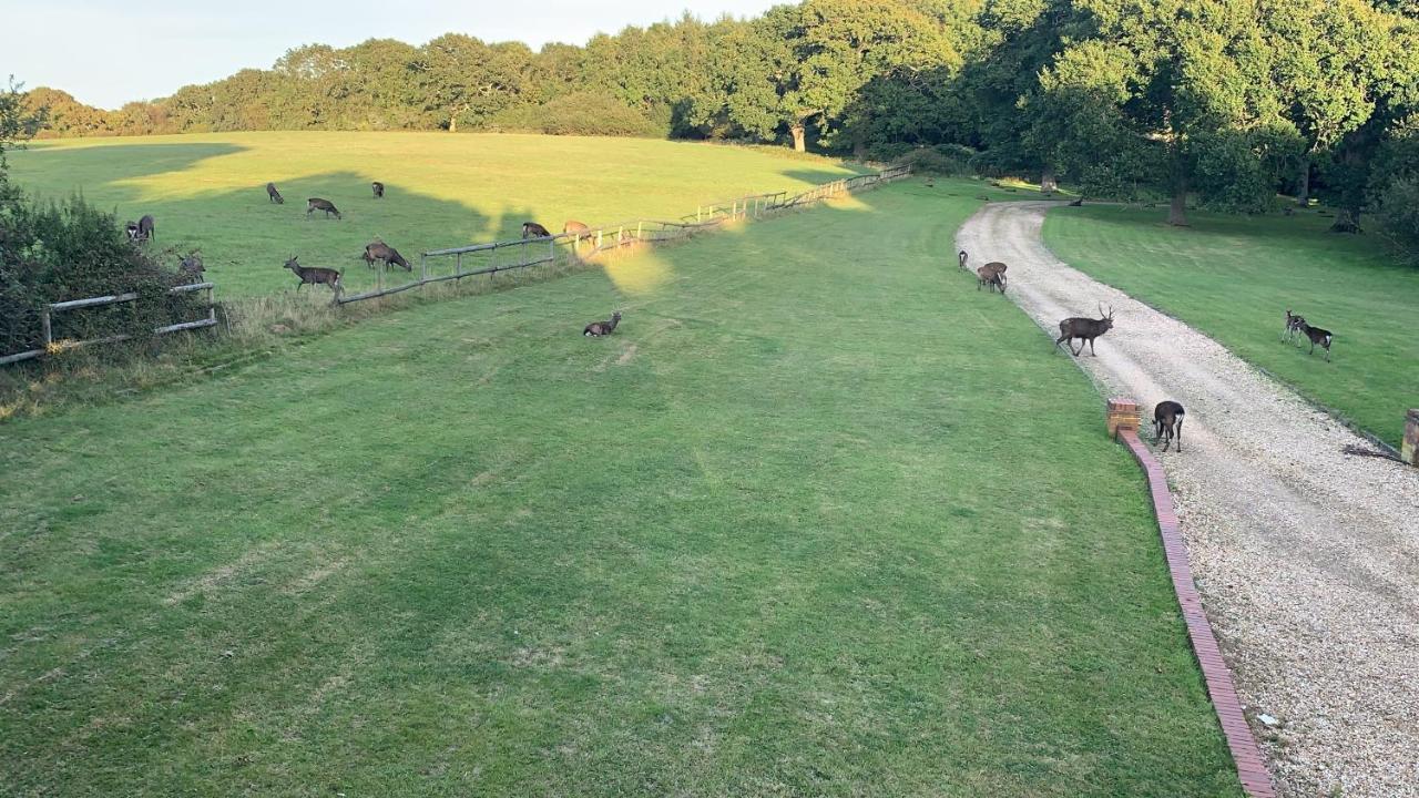 Вилла Yards Brake On 40 Acres Of Private Land Langton Matravers Экстерьер фото
