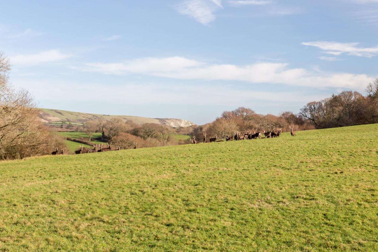 Вилла Yards Brake On 40 Acres Of Private Land Langton Matravers Экстерьер фото